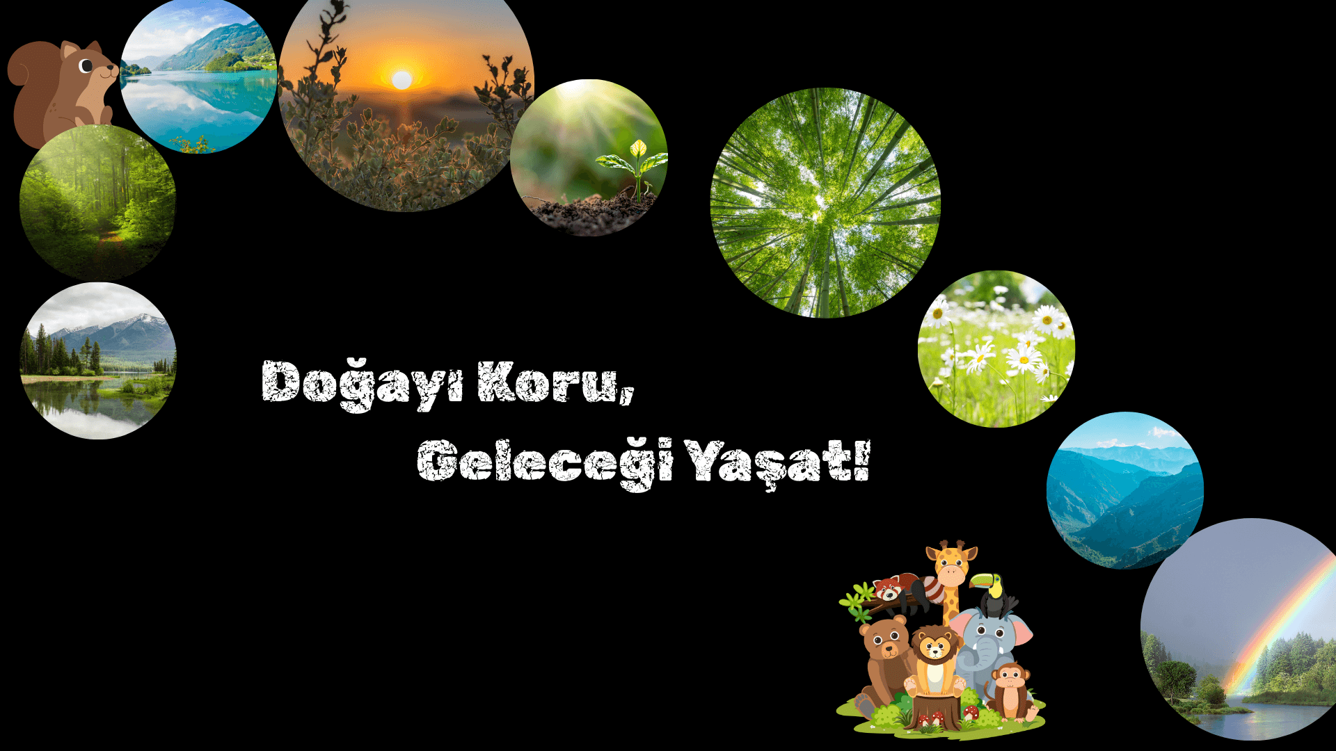 Portfolyo Örneği 3